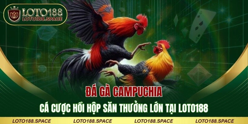 Đá Gà Campuchia – Cá Cược Hồi Hộp Săn Thưởng Lớn Tại LOTO188