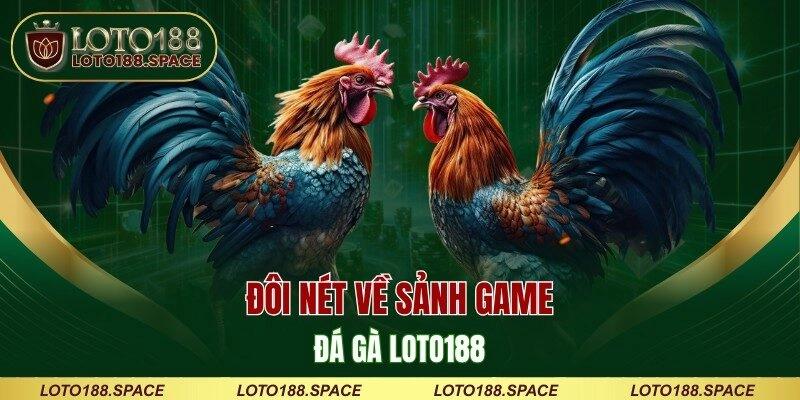 Đôi nét về sảnh game đá gà LOTO188