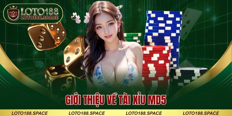 Giới thiệu về tài xỉu MD5