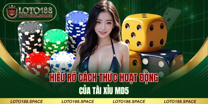 Hiểu rõ cách thức hoạt động của tài xỉu MD5